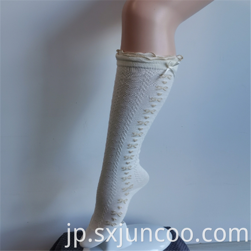 Dreamy Lace Nylon Embroidered Princess High Socks